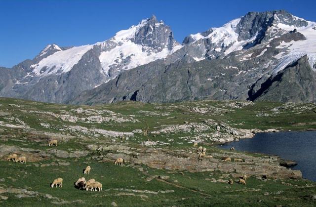 Assurance covoiturage : vérifier votre couverture avant chaque trajet