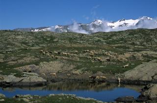 Covoiturage vers Aix-Marseille depuis le 04 : navettes et trajets