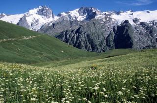Covoiturage pour événements dans le 04 : fêtes et festivals