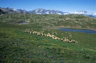 Covoiturage vers Nice et la Côte d'Azur depuis le 04